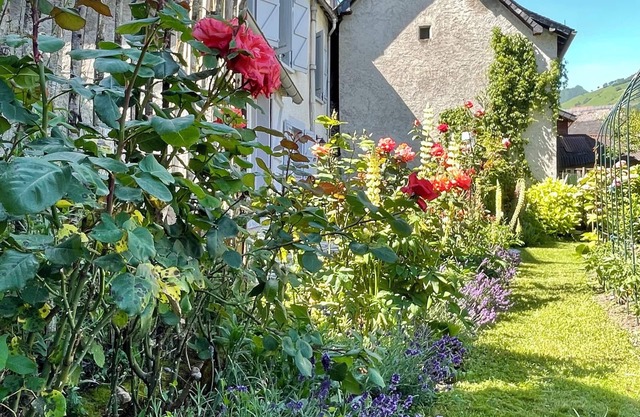 Maison Hirondelle - a charming village home with a peaceful garden