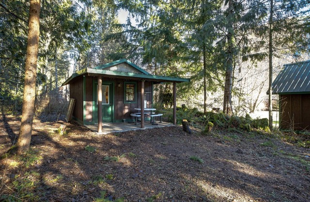 Maple Falls Cabin #72 - Sleeps 2 - Pets Ok