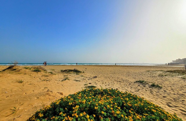 Mare Nostrum Petit Hôtel