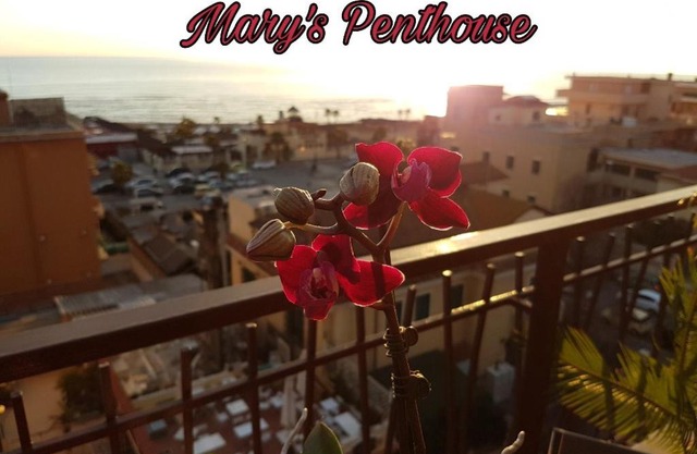 Mary's Penthouse