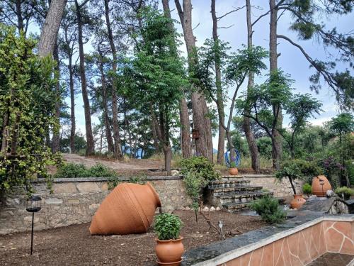 Melody, Country house in the pine trees