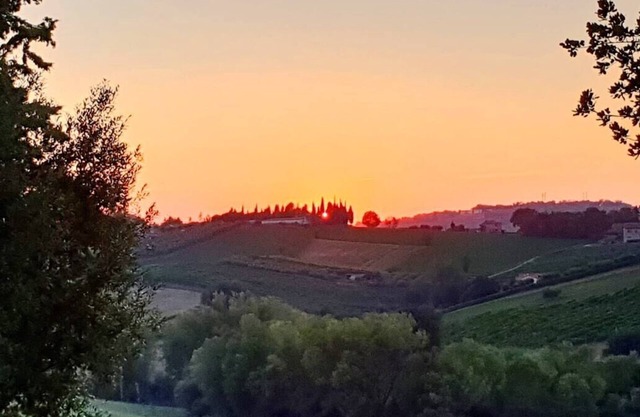 Meravigliosa Villa Immersa nel Verde Colline Rimini-riccione
