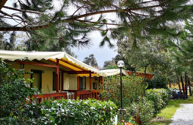 Mobile home on cozy family camping on the coast of Tuscany near Pisa