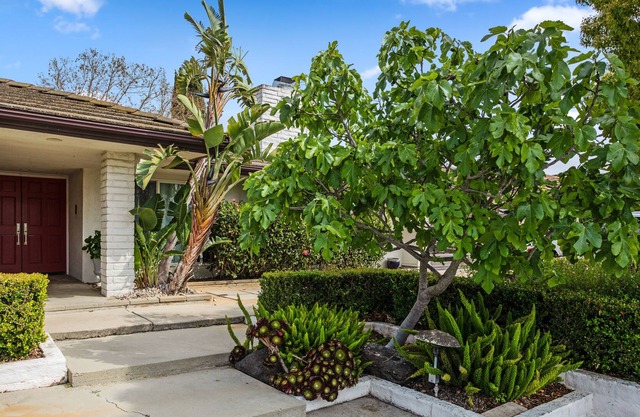 Modern 60's Ranch Home w/ Gourmet Kitchen & Large Private Backyard