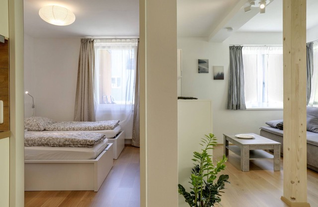 Modern Apartment "Habicht" with Wi-Fi, Garden and Terrace