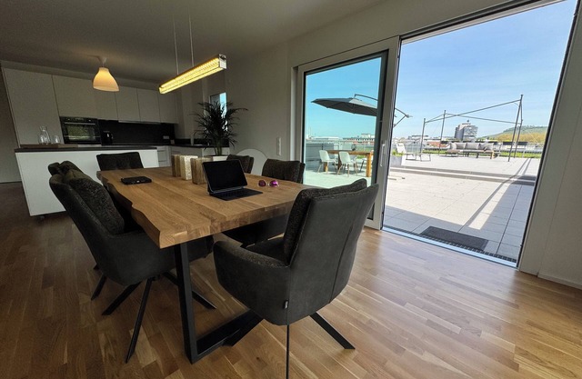 Modern apartment with large roof terrace directly on the Neckar