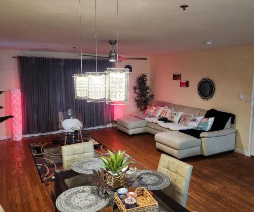 Modern Comfort