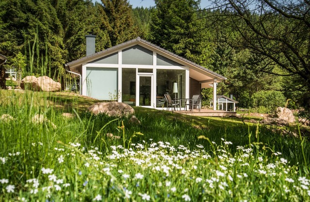 Modernes Ferienhaus in der Natur mit Restaurant & Schwimmbad