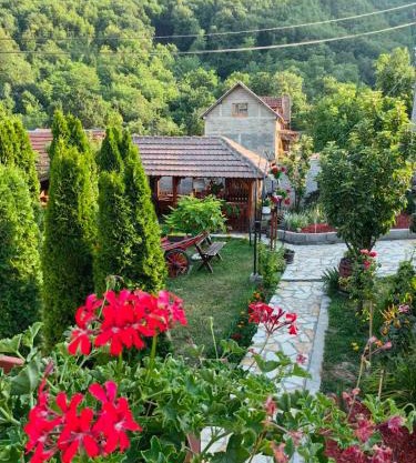 Moja dedovina