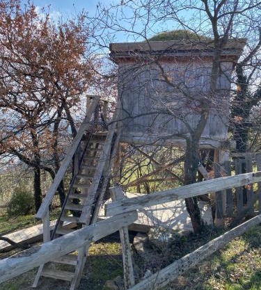 Mon rêve de garçon - Cabanes connectées à la nature