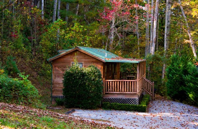Moose Cabin - 2 Bedroom/1 Bath Vacation Rental