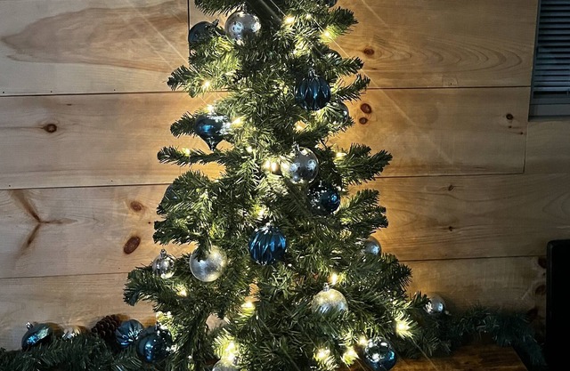 More Than A Hunting Cabin-Hocking Hills/Athens - 5 acres secluded