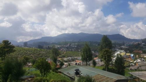 Mount View NuwaraEliya