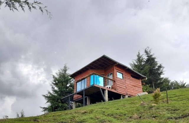 Mountain horse cabin surrounded by nature