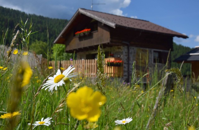 mountain house & pet friendly