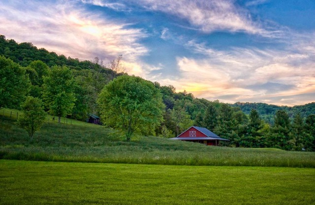 Mountain Springs Cabins