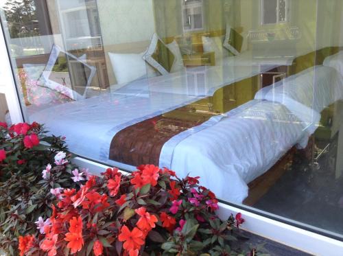 Mr Rot's Secret Hotel