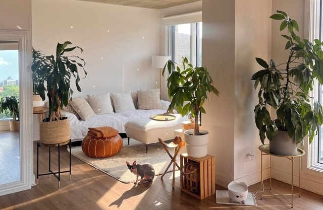 MTL downtown sanctuary. nUrban safe place, perfect for couples & solo travelers.