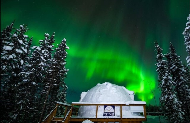 Mulchatna Igloo: Reindeer Walking Path and Aurora