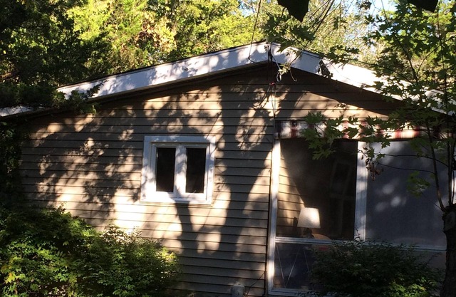 Natural Beach Beauty! Mid century modern,dog-friendly.