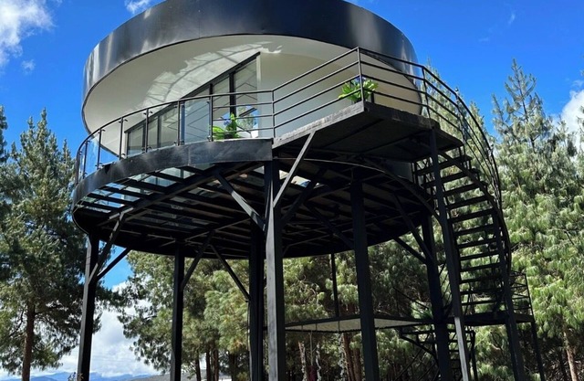 Nave Espacial en Medio de un Bosque de Pino