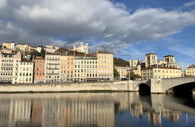 Nest in heart of Lyon