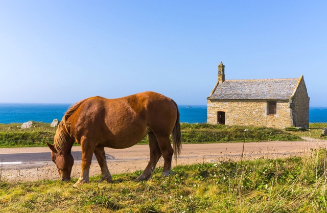 NEW - Beautiful renovated stone house