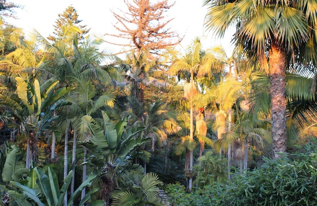 NEW! Canyon Retreat w/View. Walk to Beach and Town