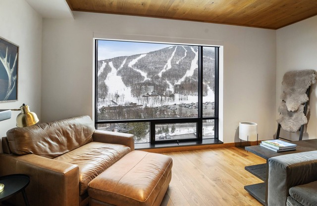 NEW Liftline Luxury - 4 Bedroom Ski In Ski Out - The One Spruce Peak