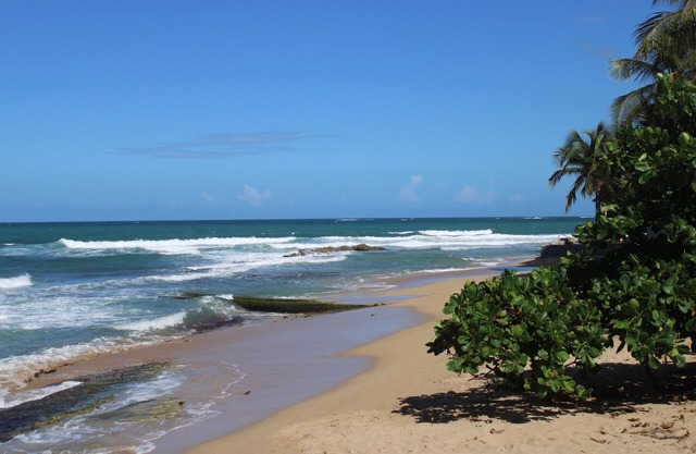 New- Luxurious Studio In The Heart Of The Condado Steps From The Beach, Free Wif
