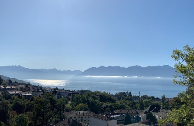 New Luxury Lake view Apartment - Lausanne