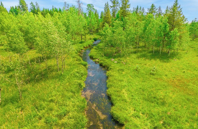 New Luxury Yellowstone House: 6 Acres, Private Decks, Chef’s Kitchen, Heat & AC