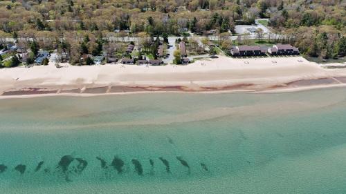 New! Surfside 13 - Cute Lakefront Condo!