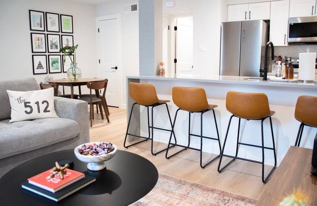 Newly Renovated Modern Condo- Walk to Zilker & Barton Springs! Private backyard!