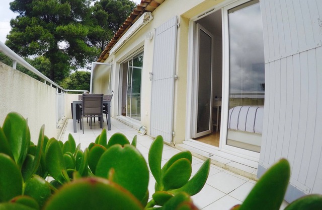 Nice 43m2 apartment, large terrace, small sea view