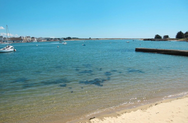 Nice apartment in villa for 4 people with WIFI, TV, terrace and pets allowed