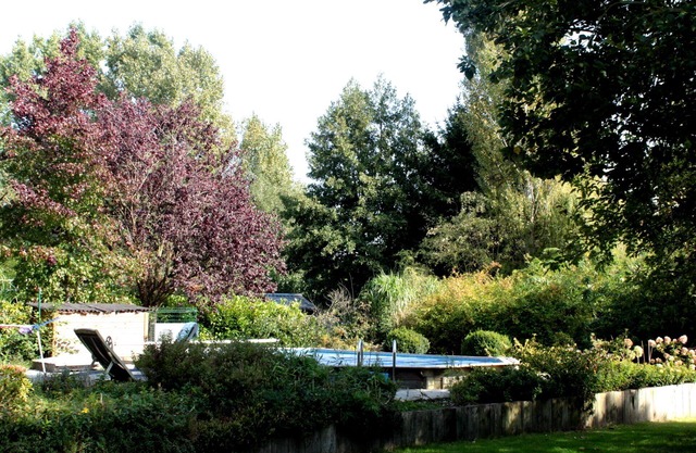Nice bright studio in Rèves