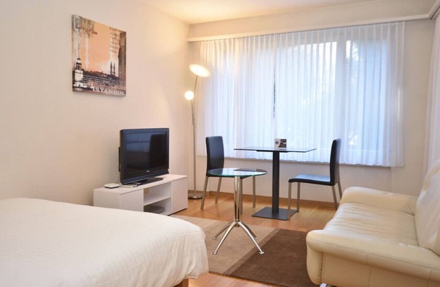 Nice studio in the city center (Vineyard 11)