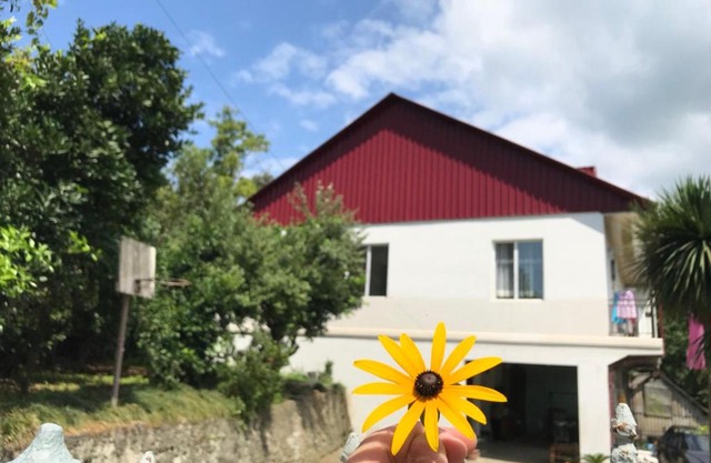 Nika's Guest House