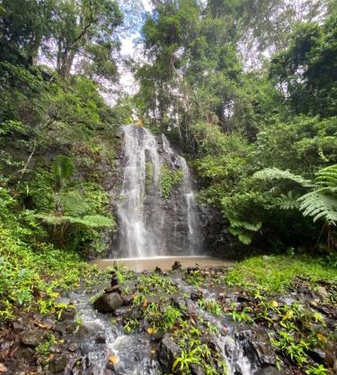 Nimbin waterfall retreat
