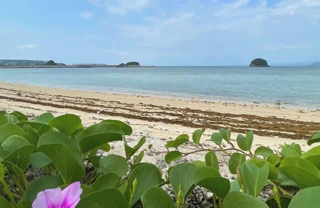 Nonsmoking Multiple nights discountRoom only /Nago Okinawa