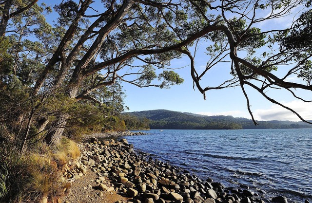 NRMA Port Arthur Holiday Park