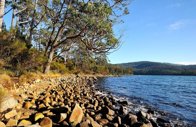 NRMA Port Arthur Holiday Park