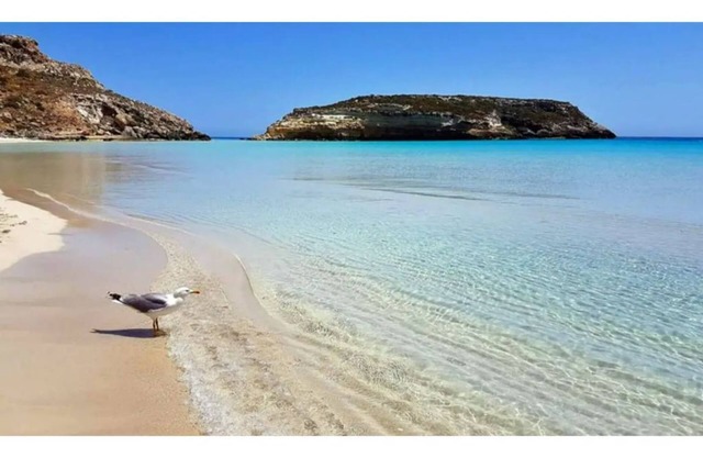 O'SCIà apartment in LAMPEDUSA