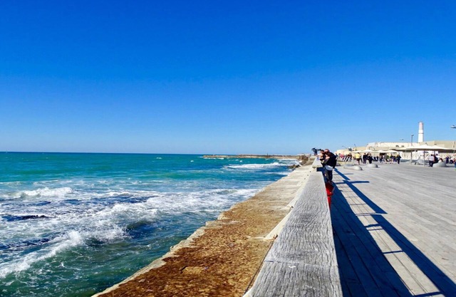 Oַ&O Group- 3BRAn Authentic Family Beach Villa- Prime Locatiom Tel-Aviv