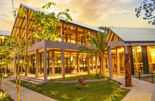Oak Ray Wild Yala
