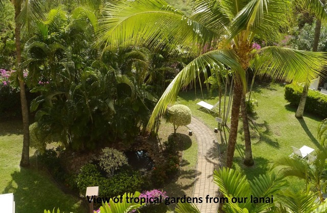 Ocean, mountain, pool views. Best location at The Banyan. Across from Kam2 beach