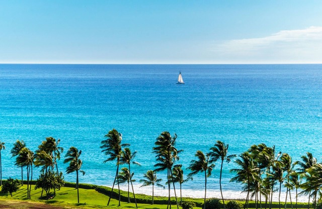 Ocean View StudioHot TubParking (Min) 30 Day rental