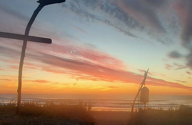 OCEANFRONT - Kid/Dog Friendly - Ocean Side Deck - Firepit - Beach Path - VIEWS!