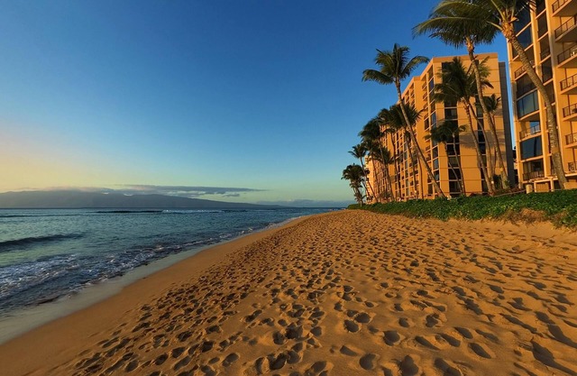 Oceanfront Suite w/Floor to Ceiling Windows, Lanai, Free WiFi & Free Parking